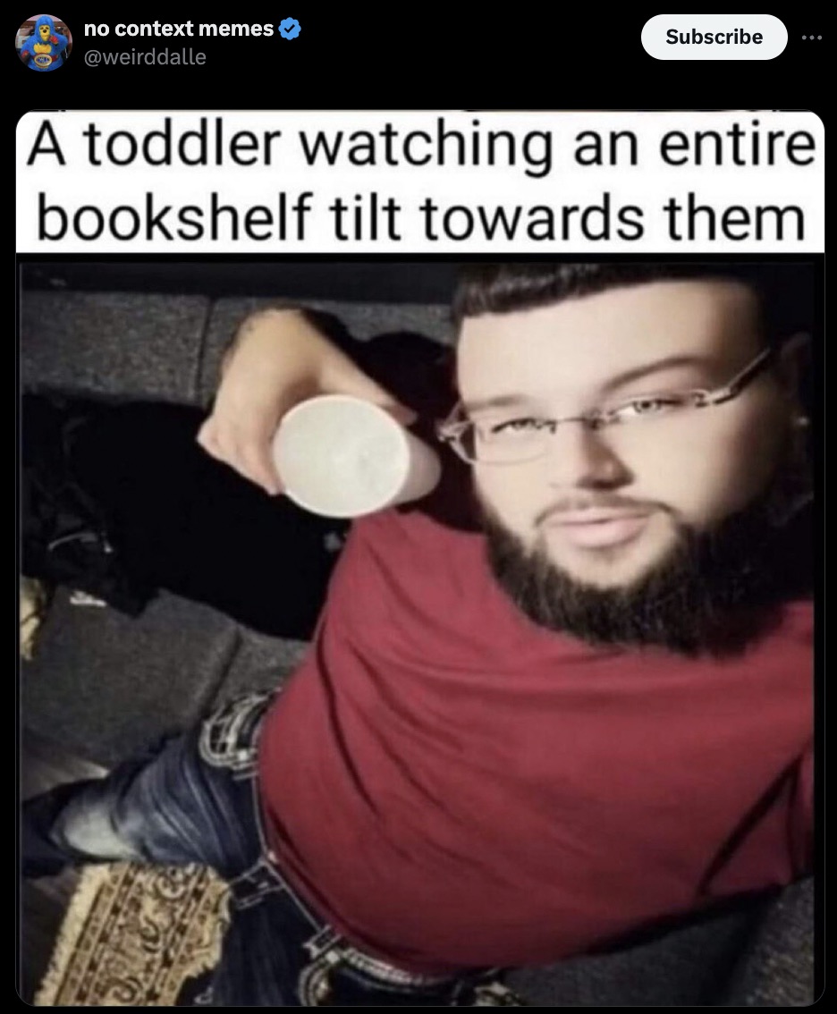 no context memes Subscribe A toddler watching an entire bookshelf tilt towards them